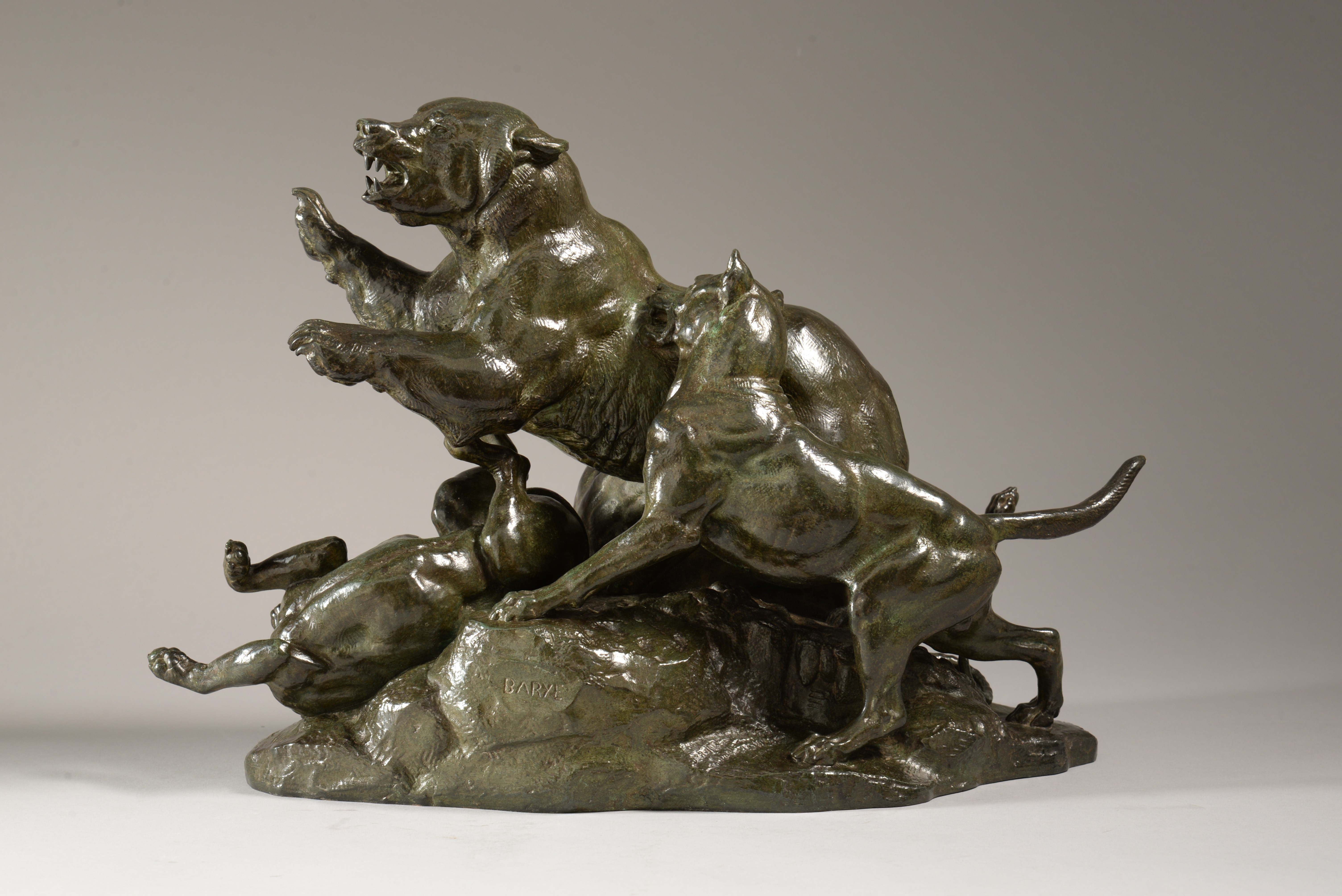 OURS FUYANT DES CHIENS 